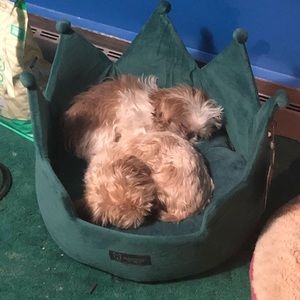 Meet your Posher, Brian